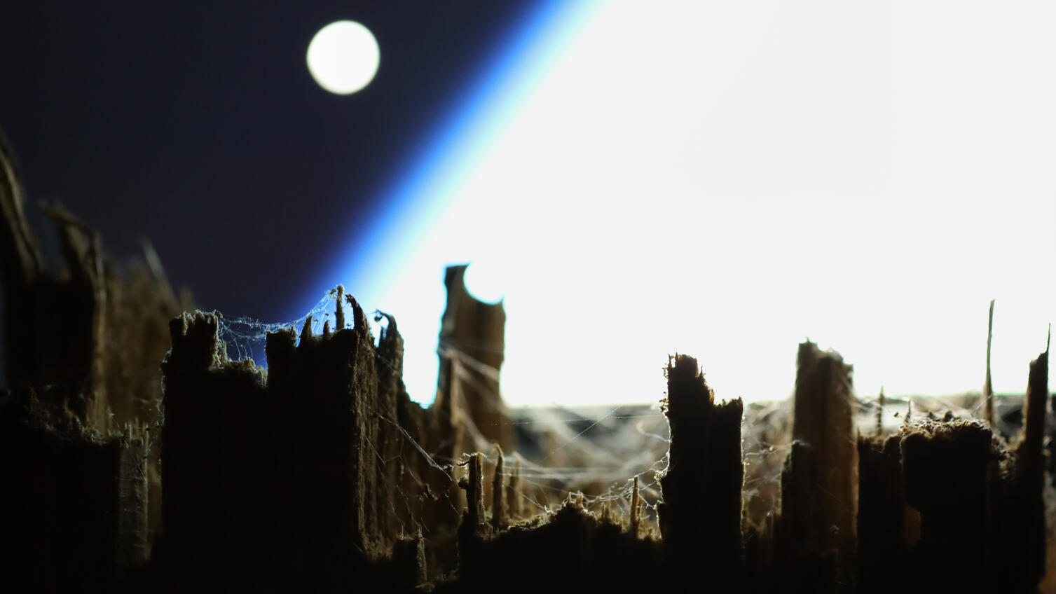 Space wood Space wood